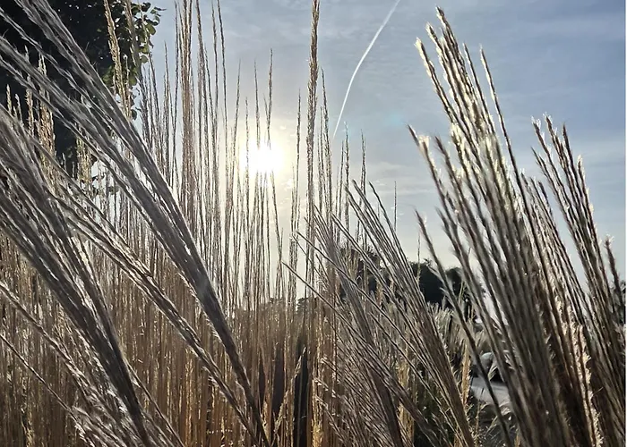Apartmenthaus-usedom Kajüte 3 Insel Mitte, Fußläufig Zur Ostsee Apartamento *